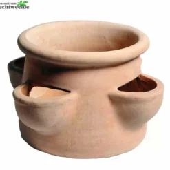 Aardbeienpot 4cm Cups D35 Whitewash