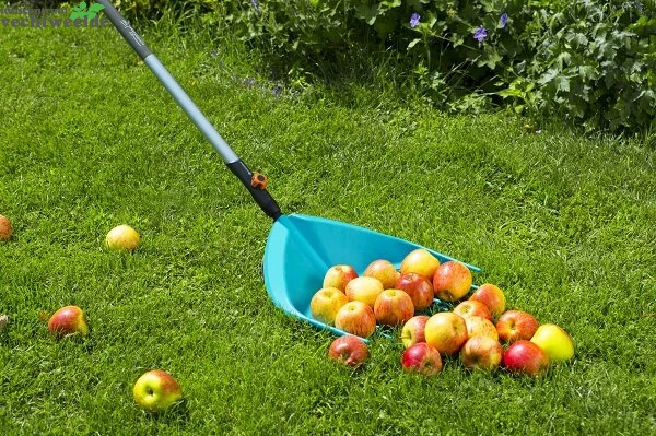 Gardena Combisystem-multihark Assortiment 3 Gardena Combisystem-multihark Assortiment - Afbeelding 3