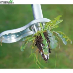 Talen Tools Onkruidsteker