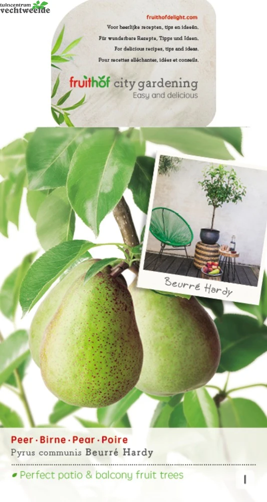 Pyrus C. 'Beurré Hardy' 1 Pyrus C. 'Beurré Hardy'