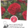 Rosa 'Red Leonardo Da Vinci'®