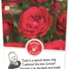 Rosa 'Red Meilove'®pot 24, Stam 90cm