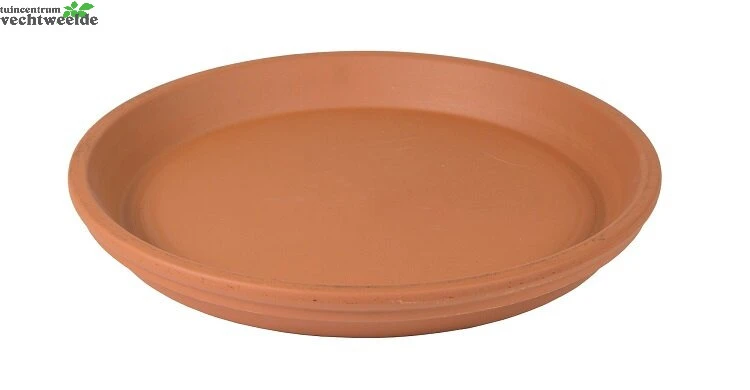 Schotel Roodsteen D51h5.9cm 1 Schotel Roodsteen D51h5.9cm