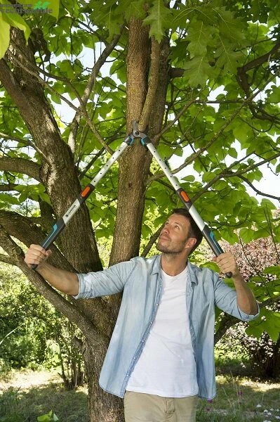 Gardena Takkenschaar Telecut 650-900 B 2 Gardena Takkenschaar Telecut 650-900 B - Afbeelding 2