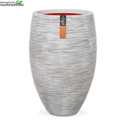 Vaas Eleg Deluxe Rib Nl D56h84 Ivoor